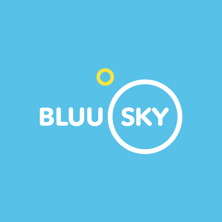 Bluu Sky – Case Study of a Branding Project