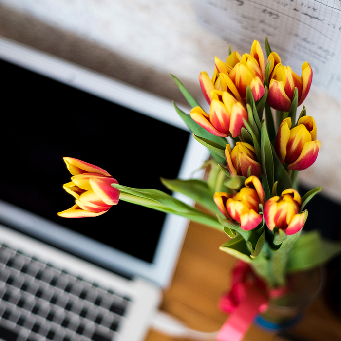 Bring your brand to life through your website