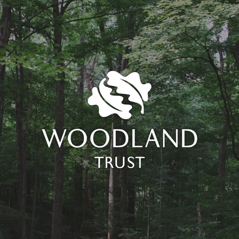 Koobr helps plant the seeds for the future