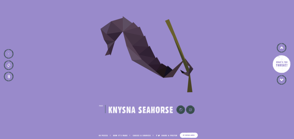 screenshot of Knysna Seahorse website