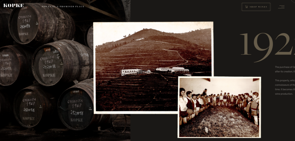 screenshot of kopke homepage